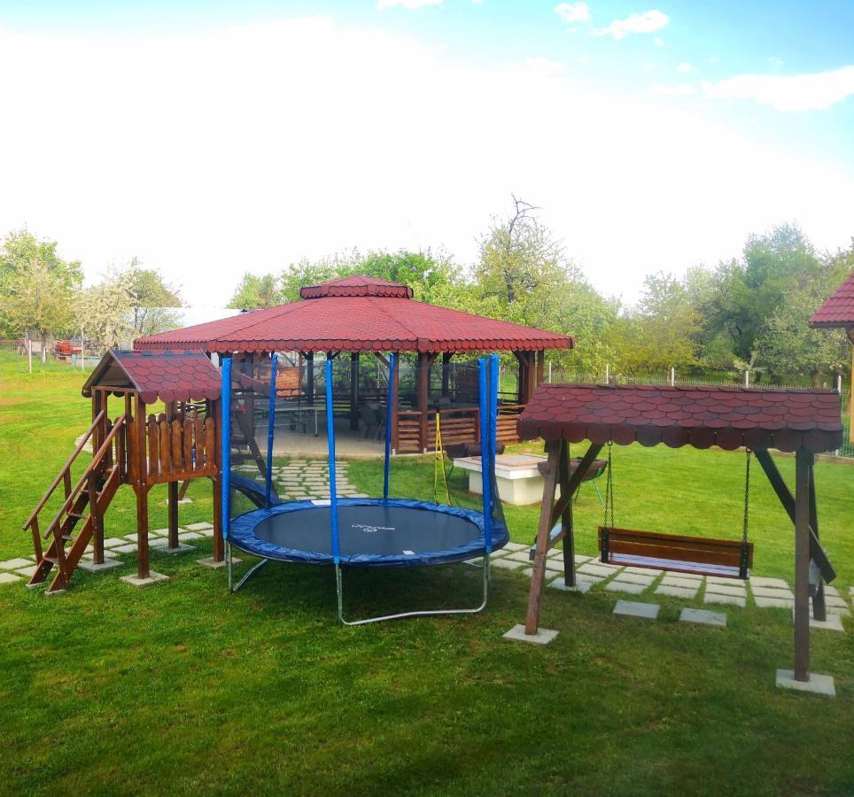 Pensiunea Casa Hortopan Târgu Jiu Екстериор снимка
