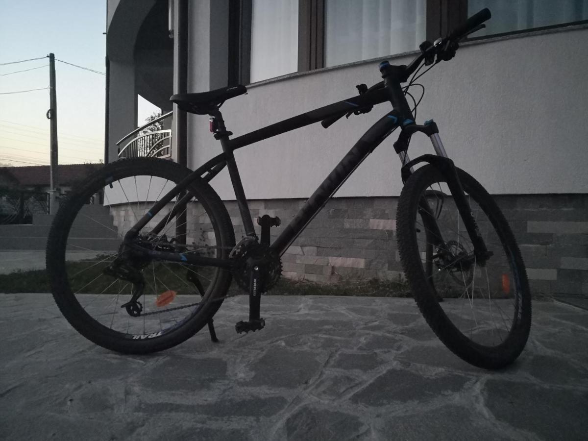 Pensiunea Casa Hortopan Târgu Jiu Екстериор снимка